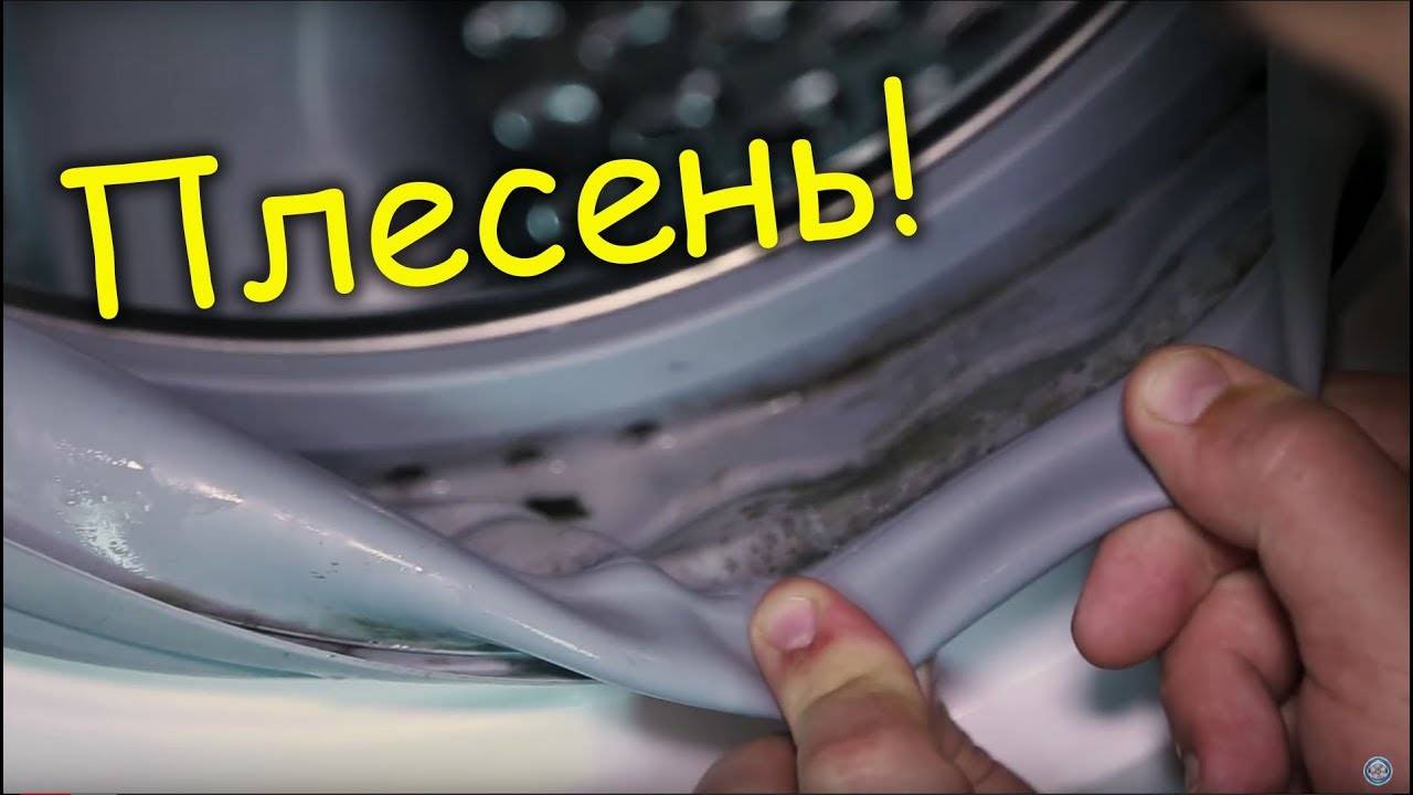 10 Produkte, um Schimmel in der Waschmaschine loszuwerden und zu reinigen