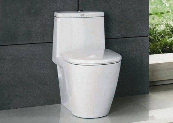 WC-Monoblock: Gerät, Vor- und Nachteile, wie man das richtige auswählt