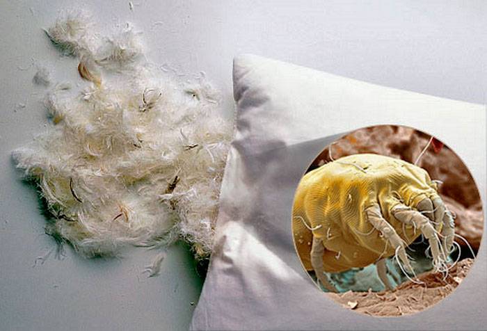 Die Zusammensetzung von Mineralwolle und ihre Gesundheitsschädlichkeit - wie berechtigt sind die Mythen über das Material