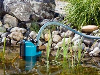 Funktioner ved valget af en pumpe til vanding af haven, afhængigt af kilden til vandindtag