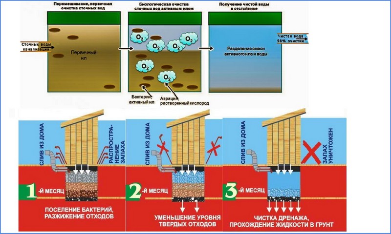 Wie eine Senkgrube aus Betonringen gebaut wird: Diagramme + Schritt-für-Schritt-Anleitung