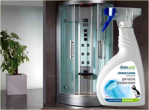 Häusliche Bedingungen: Wie und wie man die Dusche wäscht