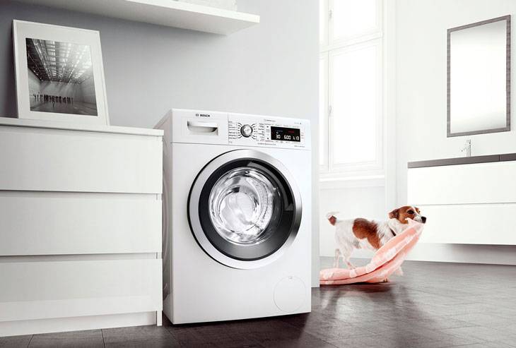 Top 10 Miele Staubsauger: Die besten Modelle im Überblick, Besitzerbewertungen + worauf Sie bei der Auswahl achten sollten