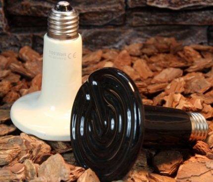 Infrarotlampen für den Haushalt: Auswahl einer Infrarotlampe + Bewertung der besten Hersteller