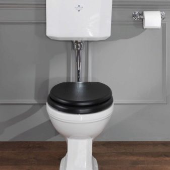WC-Monoblock: Gerät, Vor- und Nachteile, wie man das richtige auswählt