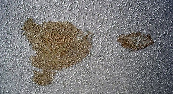 So entfernen Sie Flecken an der Decke: Schritt-für-Schritt-Anleitung, 20 beste Methoden und Werkzeuge