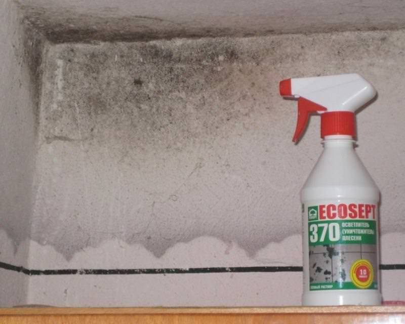 Die 20 besten Möglichkeiten, den Schrank zu reinigen und schlechten Geruch loszuwerden