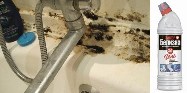 Sådan slipper du af med skimmelsvamp i badeværelset: effektive metoder
