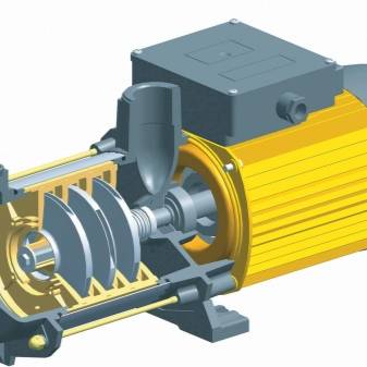 Borehulspumpe "Aquarius" - egenskaber, intern struktur, tilslutning og mindre reparationer