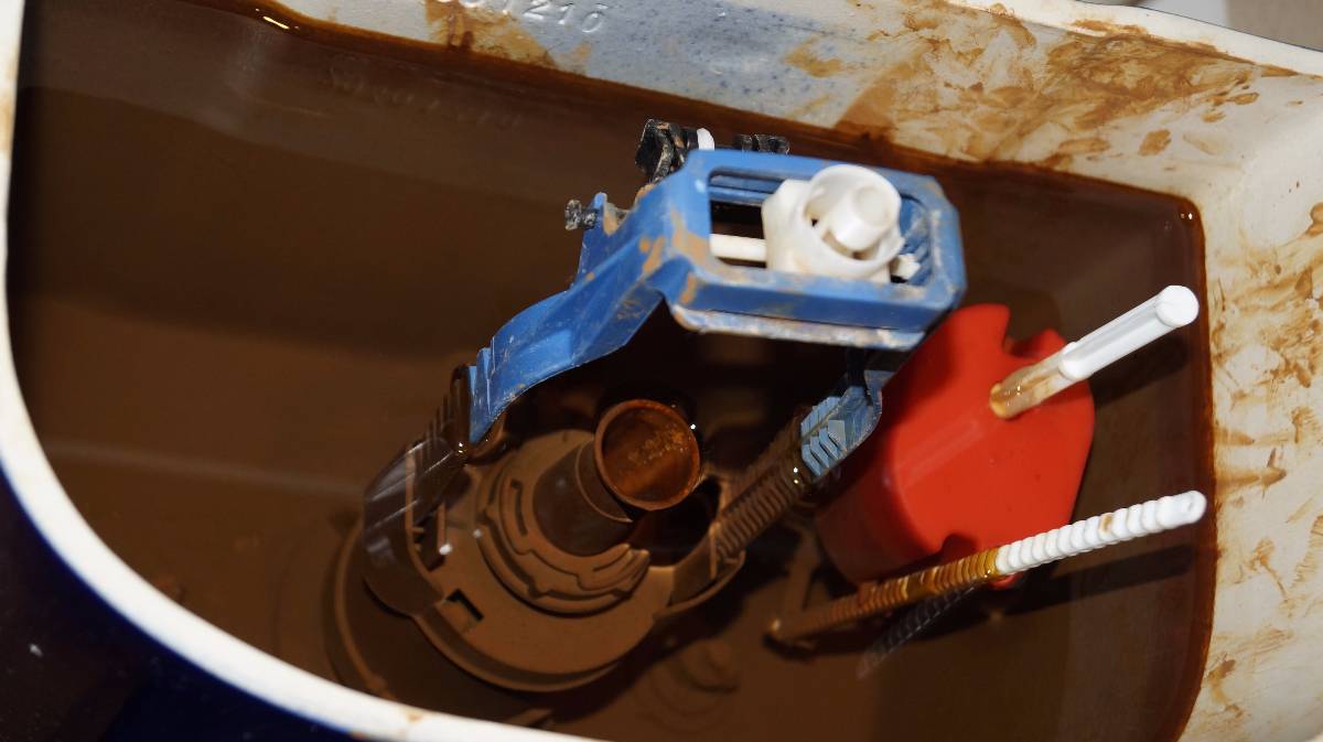 So stellen Sie den Schwimmer in der Toilette selbst ein: ausführliche Anleitung