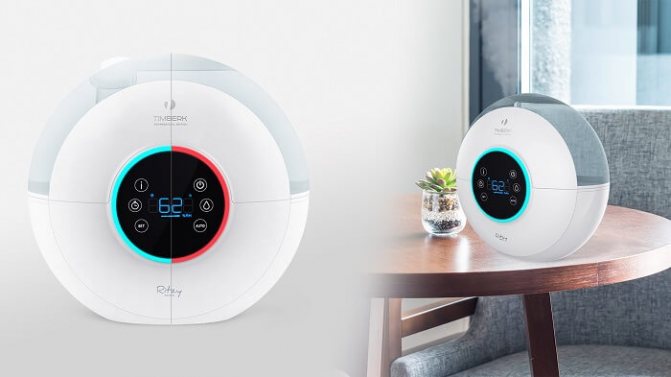 Die 14 besten Luftbefeuchter für Wohnung und Zuhause