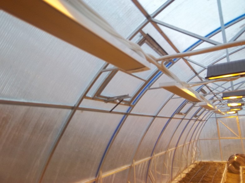 Elektrische Infrarotheizung für ein Gewächshaus aus Polycarbonat: Auswahlregeln, Funktionsprinzip, Vor- und Nachteile