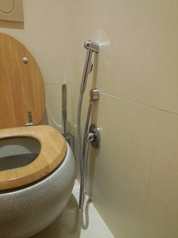 Was ist besser – ein Bidet oder eine hygienische Dusche?