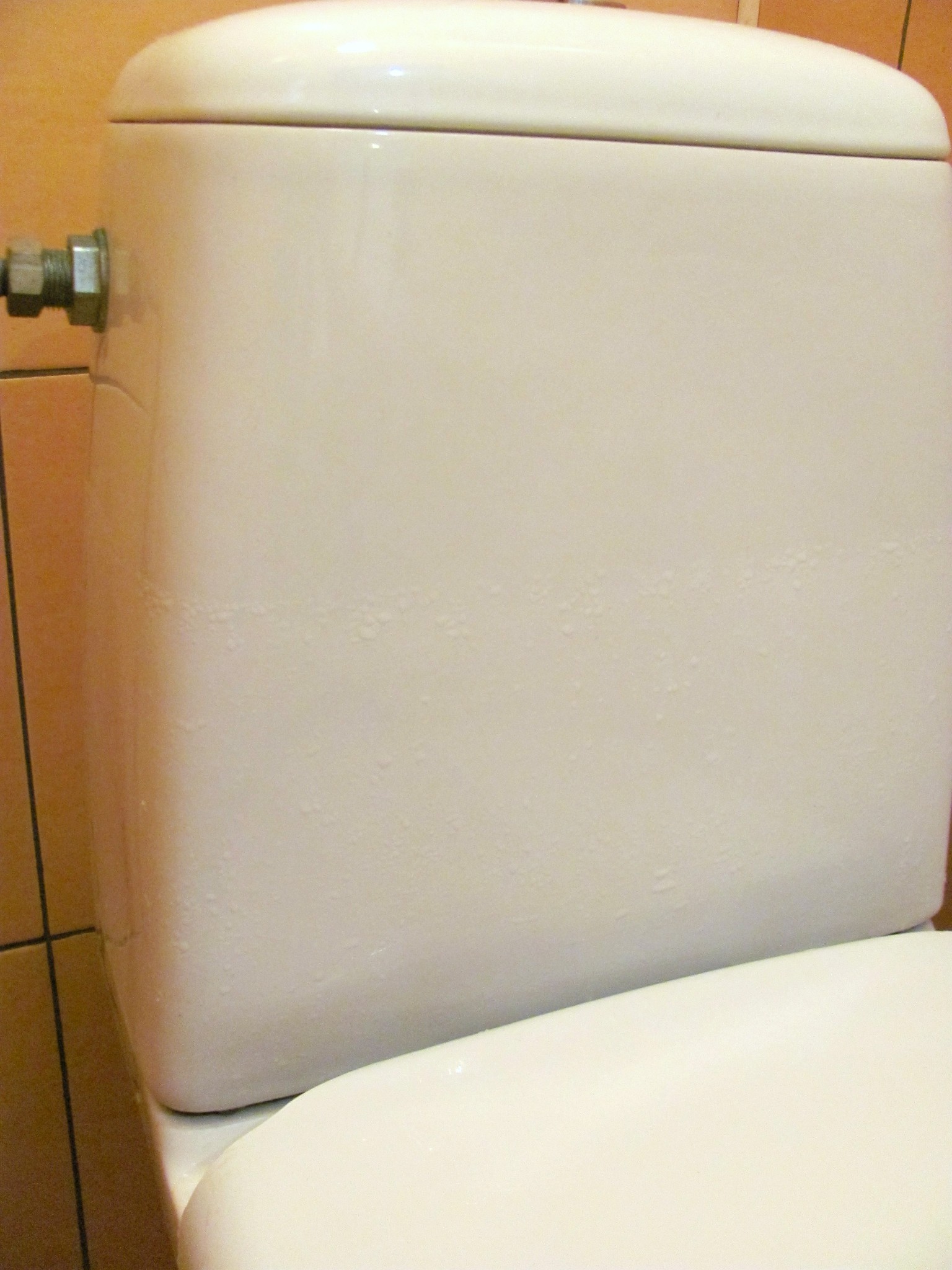 Kondenswasser auf der Toilettenschüssel, wie man es loswird