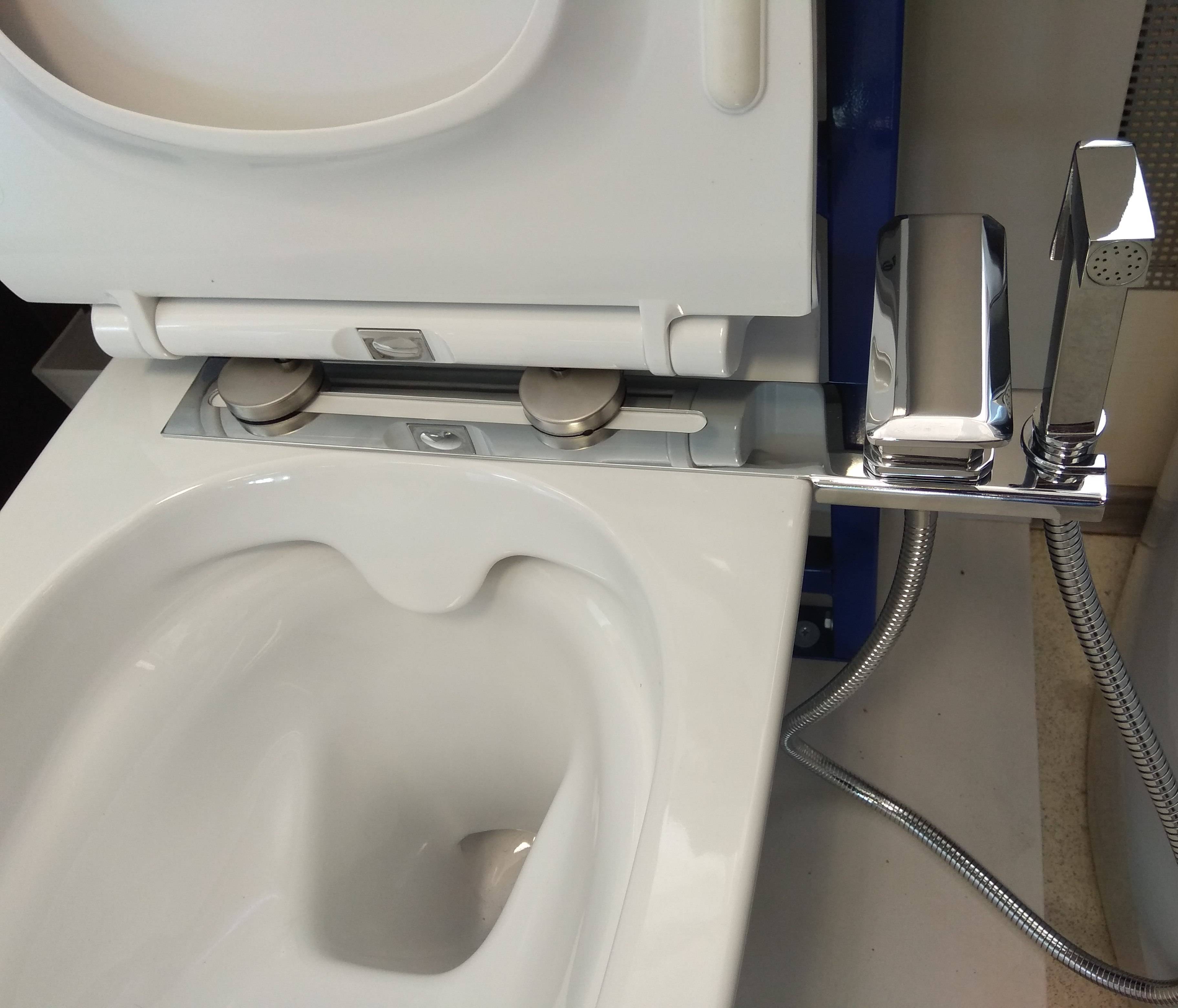 Auswahl einer hygienischen Dusche für eine Toilettenschüssel mit Mischer: eine Übersicht der Modelle und Installationsanweisungen