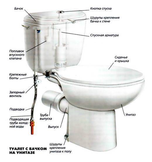Toiletteneinbau in Eigenregie