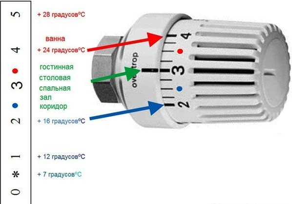 Auswahl und Installation eines Thermokopfes für einen Heizkörper