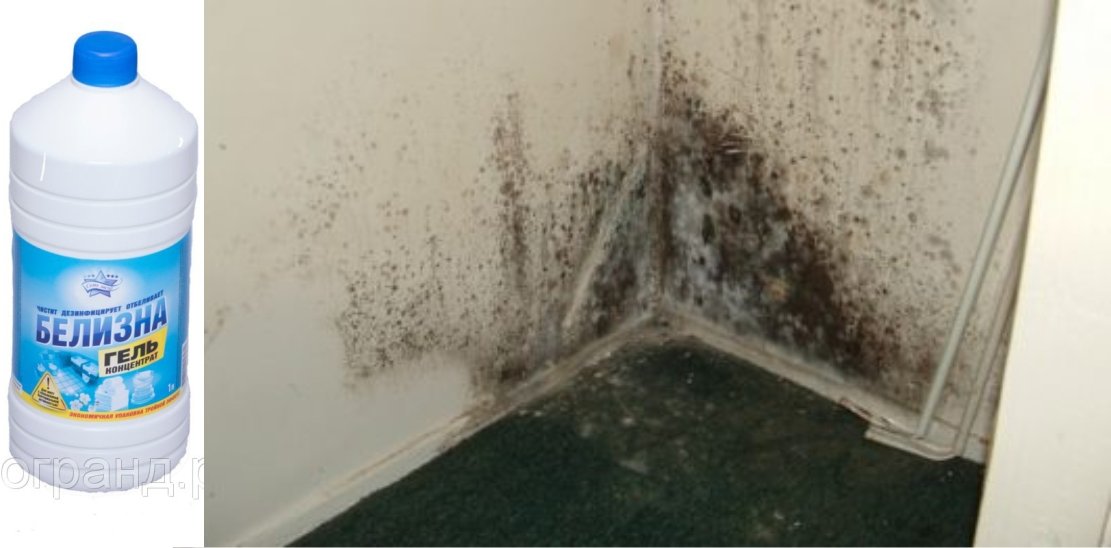 So werden Sie Schimmel im Badezimmer los: Die Mittel im Überblick