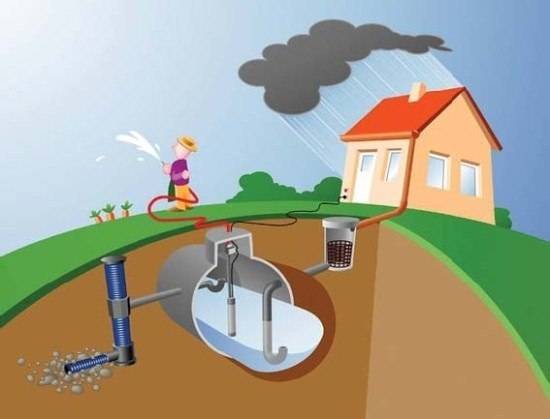 Wie richtet man ein Regenwassersammelsystem für die anschließende Wasserversorgung zu Hause ein?