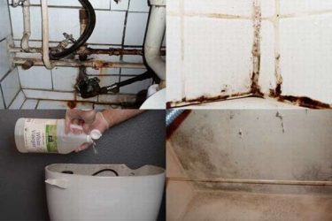 Wie entferne ich Kondenswasser auf der Toilettenschüssel?