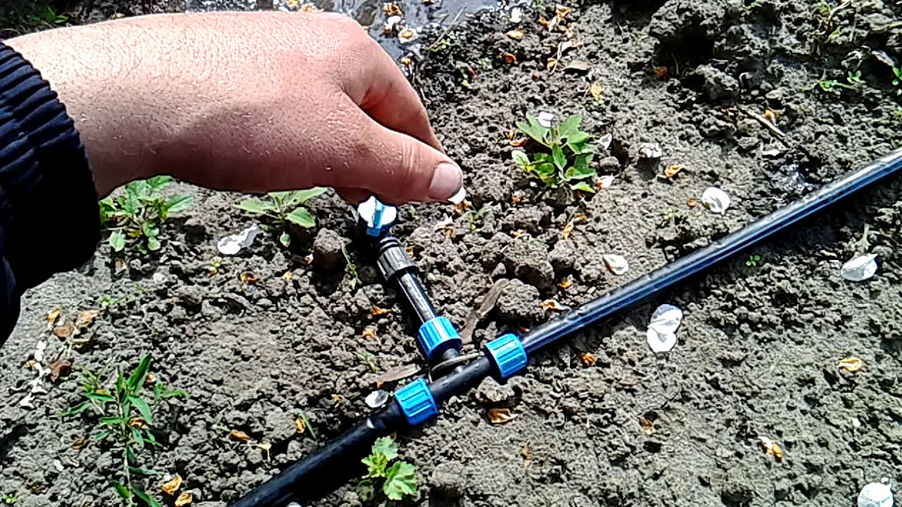Do-it-yourself-Tropfbewässerung für eine Sommerresidenz kostenlos: einfach und unkompliziert selbst machen
