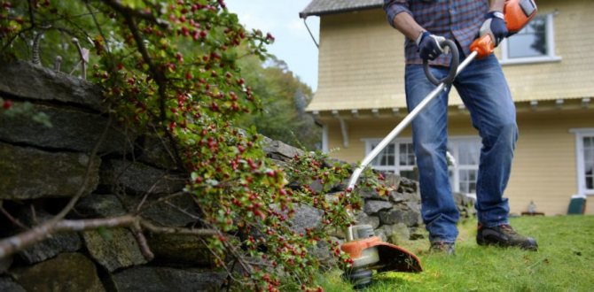 Plæneklipperen starter ikke: årsager til nedbrud og gør-det-selv fejlfinding