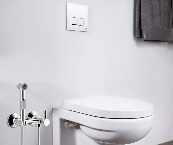 Bidet-Aufsatz für das WC: eine Übersicht über die Arten von Bidet-Aufsätzen und Methoden zu ihrer Montage