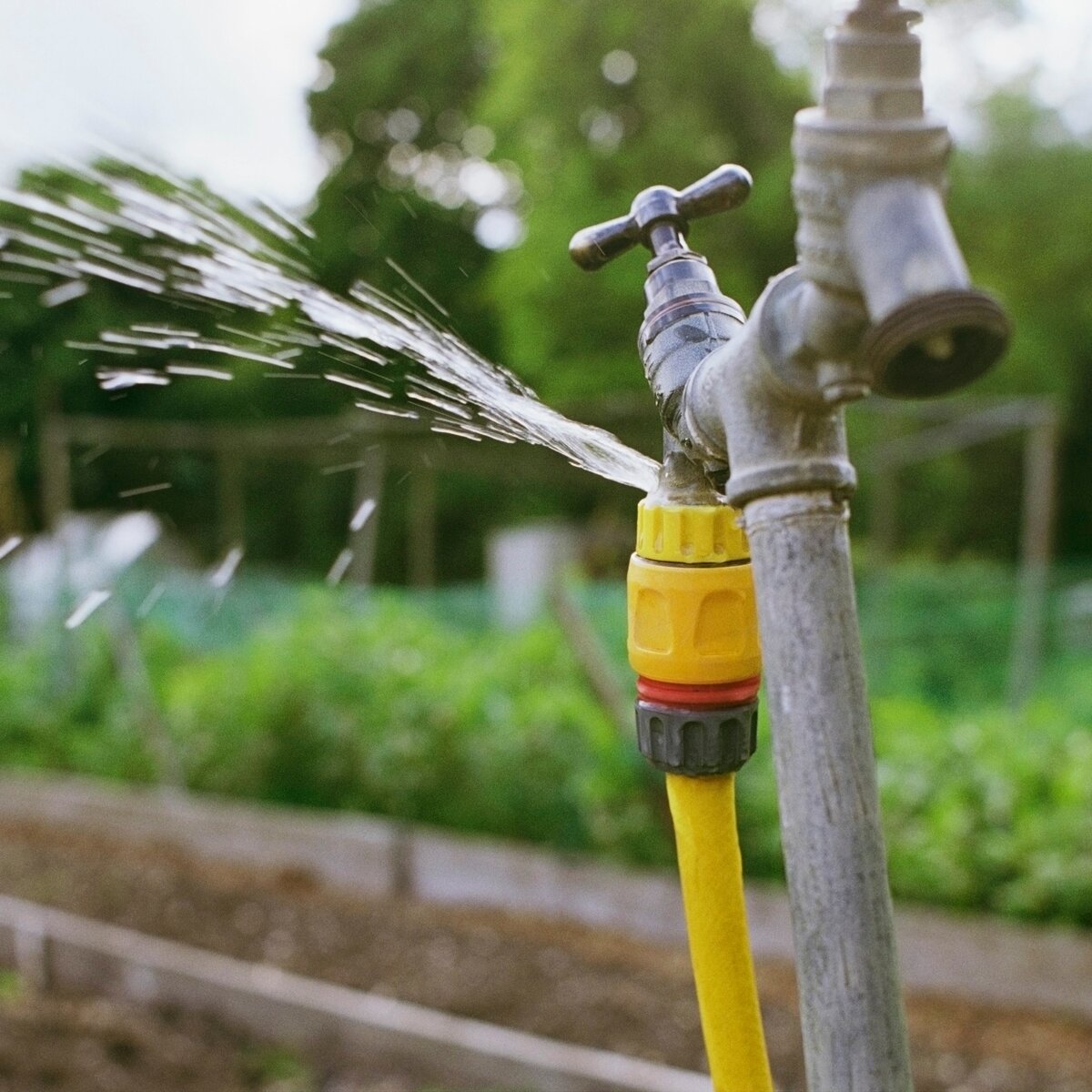 Do-it-yourself-Installationen auf dem Land von einem Brunnen aus: Wasserversorgungssysteme, Video, Gerät