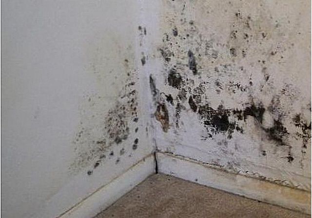 Isolierung für Wände in einem Haus oder einer Wohnung - die Wahl des Materials, die Art seiner Installation