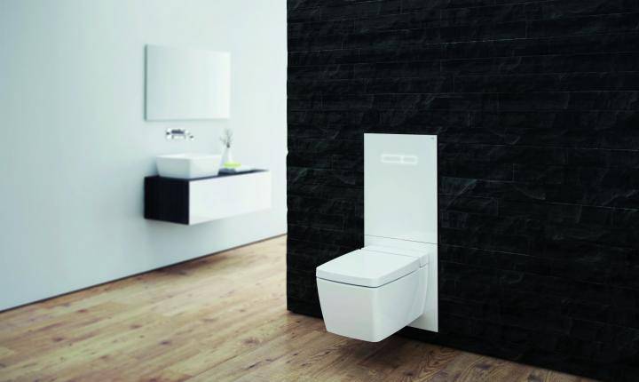 So wählen Sie eine Toiletteninstallation + Selbstinstallationsanleitung aus