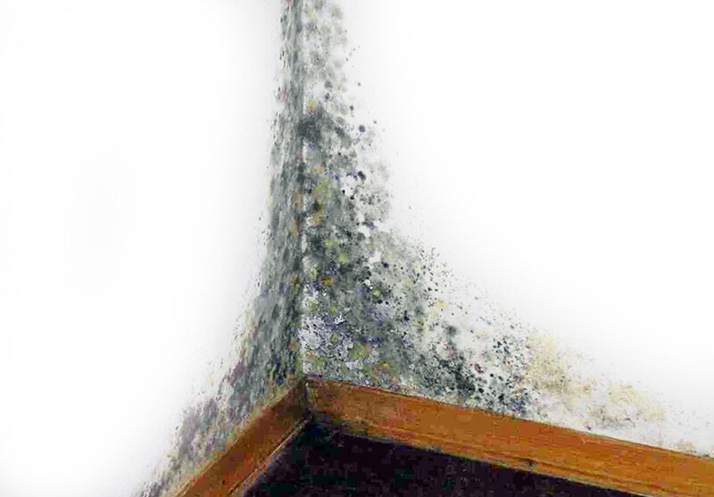 Niedrige Luftfeuchtigkeit in der Wohnung – So steigern Sie die Leistung. Drücken Sie!