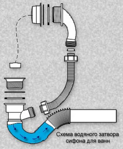 Valget af udformningen af ​​sifonen (afløbet) til brusekabinen og dens tilslutning