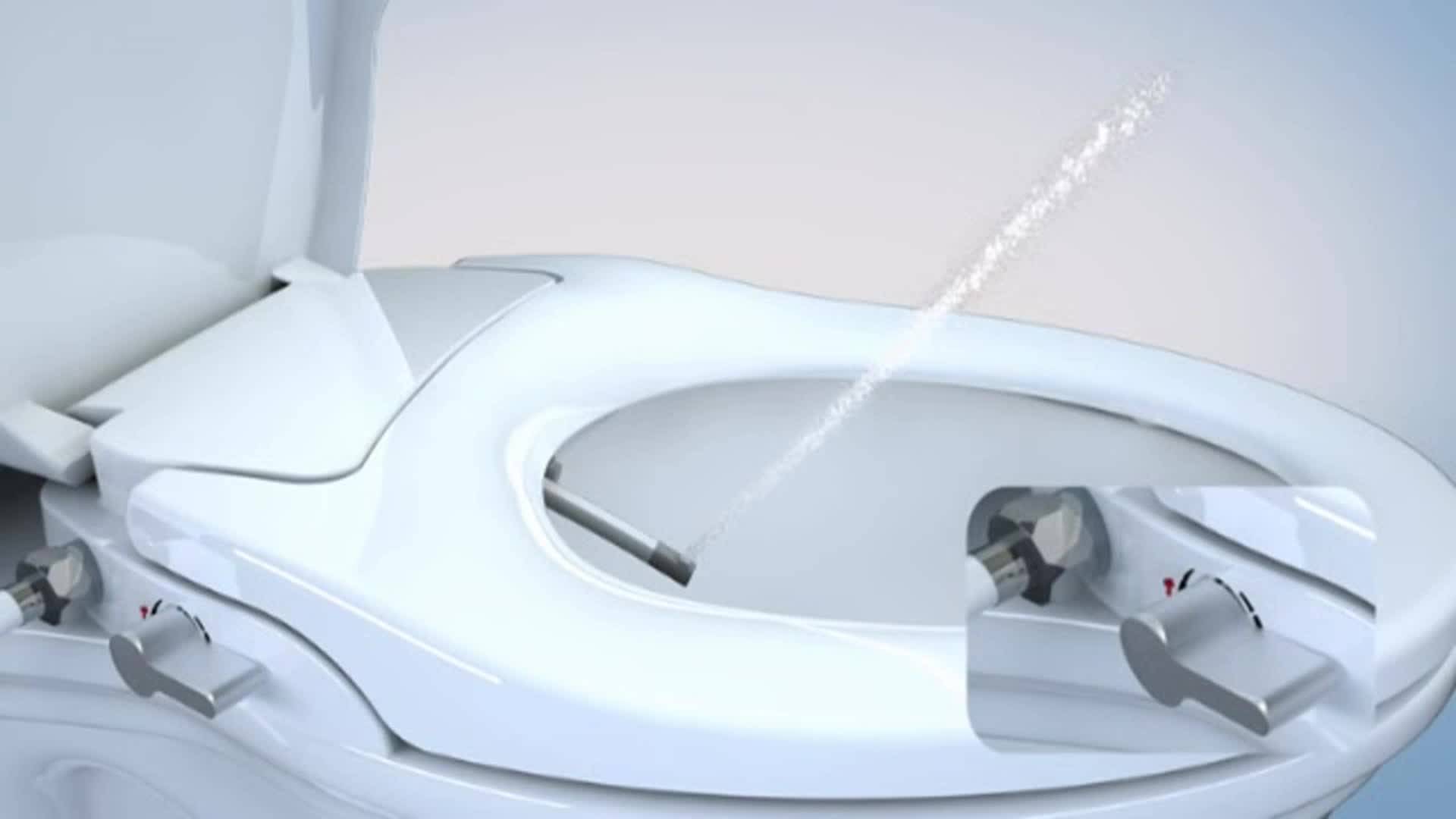 Toilette mit Bidetfunktion: Vor- und Nachteile