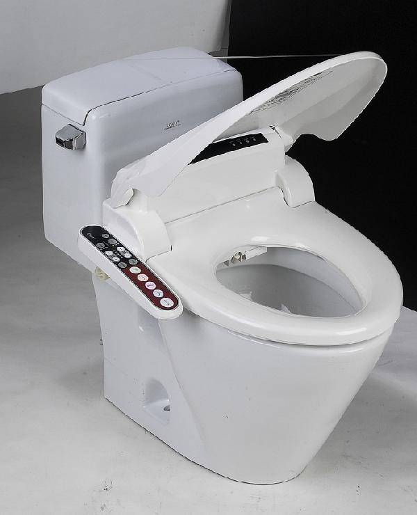 Toiletten-Bidetdeckel: Typen, Beschreibung des Funktionsprinzips und Tipps zur Auswahl