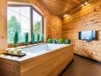 Funktioner ved at arrangere et badeværelse i et træhus