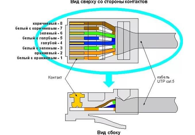 Presning af parsnoede 8 og 4 kerner: grundlæggende diagrammer + trin-for-trin krympevejledning