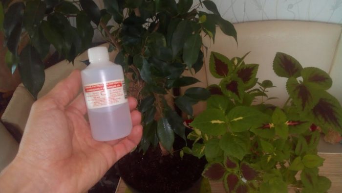 9 måder at bruge ammoniak til at gøre rengøringen nem