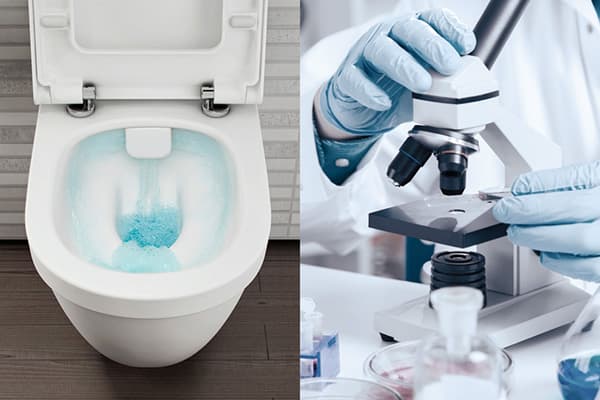 Warum du den Toilettendeckel nicht offen lassen solltest