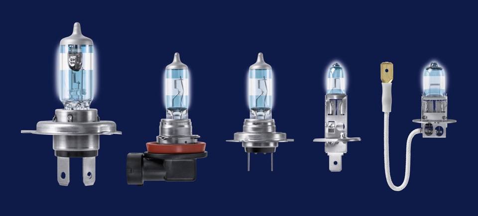 Was ist besser - LED- oder Halogenlampen?