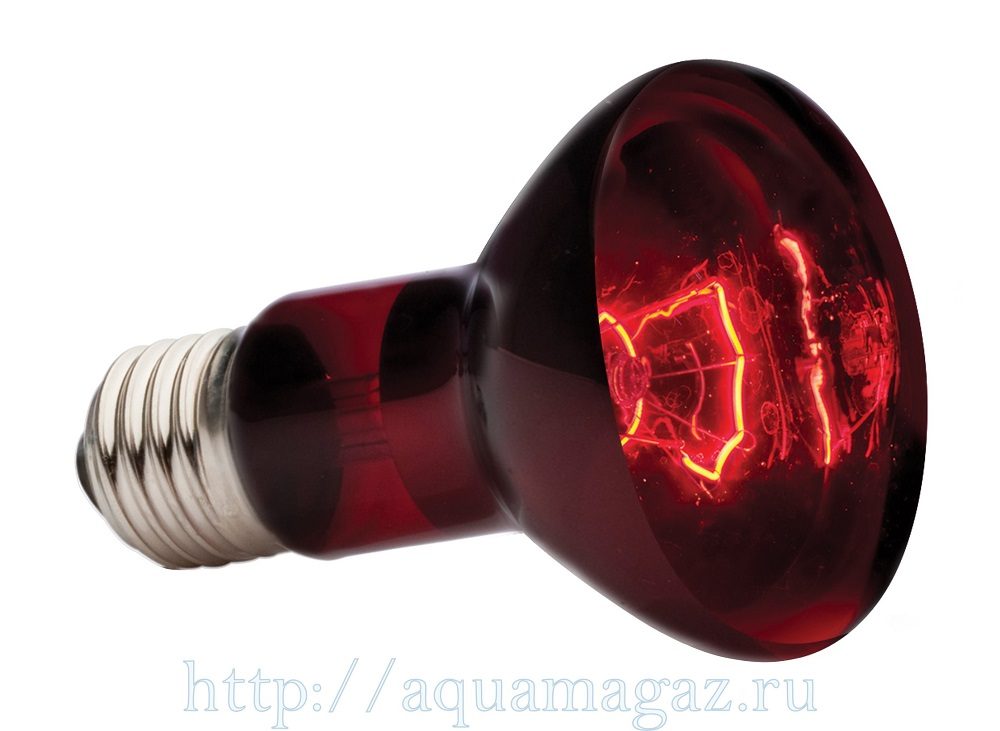 Infrarotlampen für den Haushalt: Auswahl einer Infrarotlampe + Bewertung der besten Hersteller