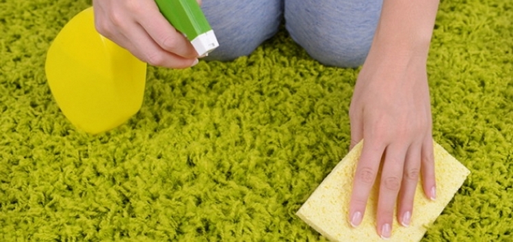 So reinigen Sie Teppiche zu Hause: schnell und effektiv