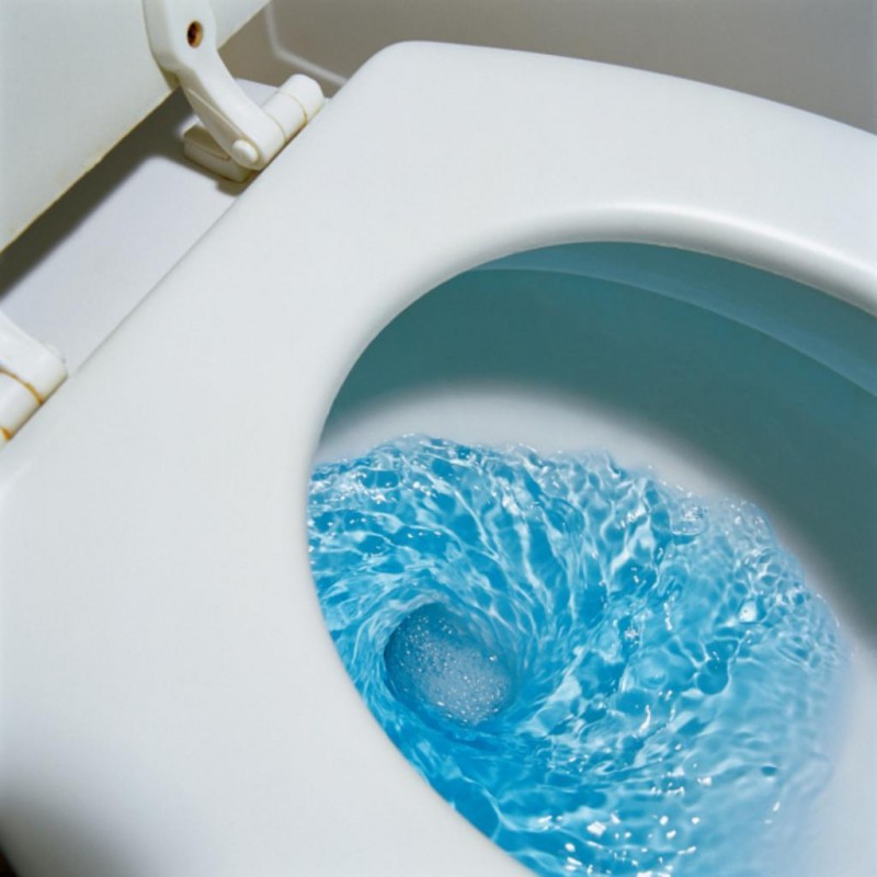 15 ting, du ikke bør smide i toilettet, hvis du ikke vil have problemer