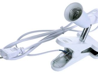 Ecola LED-lamper (Ecola): linjeoversigt, fordele og ulemper, forbrugeranmeldelser