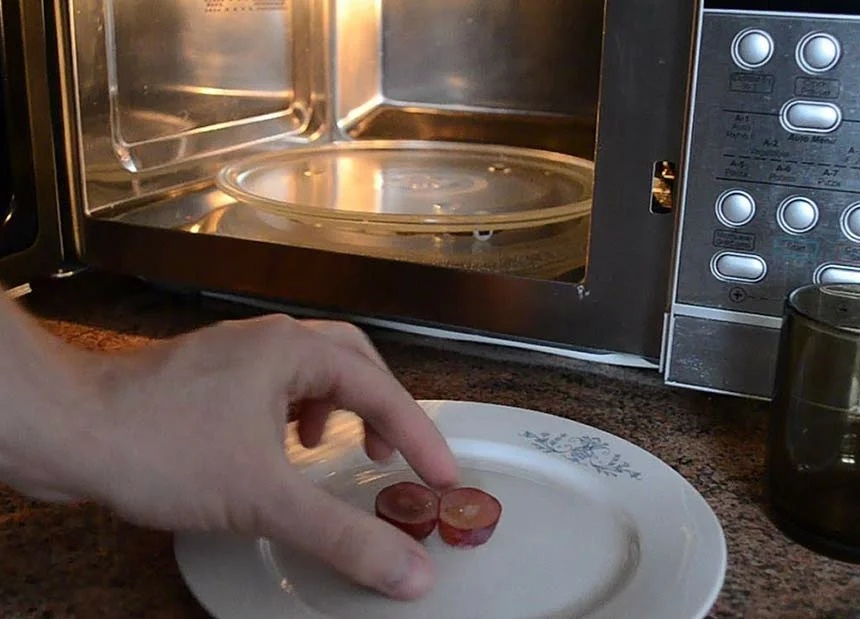 12 Dinge, die Sie niemals in die Mikrowelle geben sollten