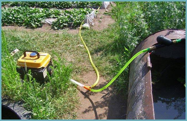 So wählen Sie eine gute Pumpe zum Bewässern des Gartens mit Wasser aus einem Teich, Fass oder Teich