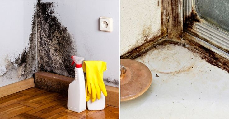Wie man Feuchtigkeit in der Wohnung loswird