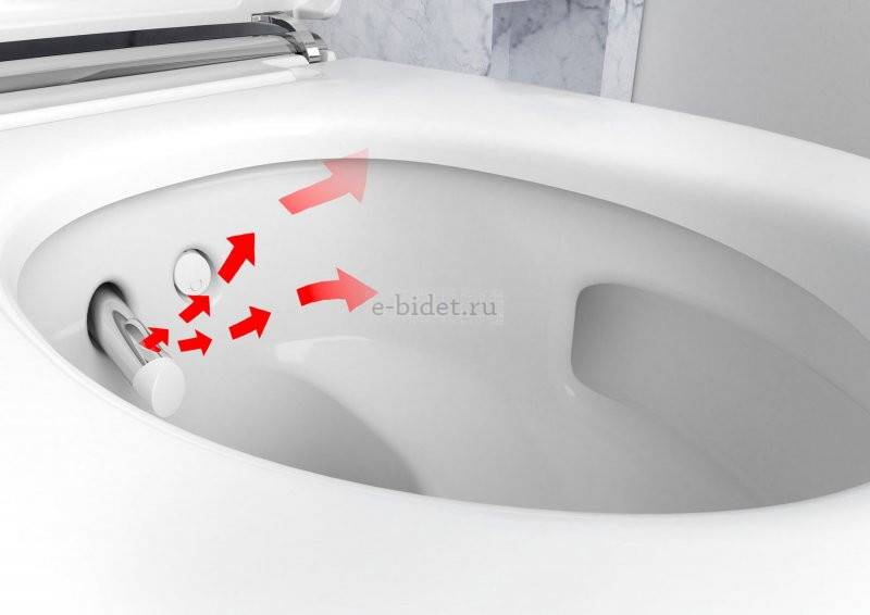 WC-Schüssel mit Bidetfunktion: Auswahlmöglichkeiten, Modellübersicht, Preise