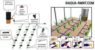 Welche Rohre für die Organisation der Gartenbewässerung zu wählen sind - Tipps zur Auswahl der Meister