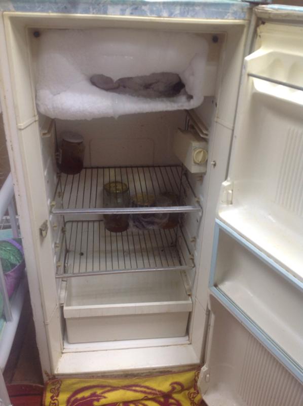 So tauen Sie Ihren Kühlschrank in 10 einfachen Schritten ab