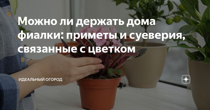 Ist es möglich, künstliche Blumen zu Hause zu halten?